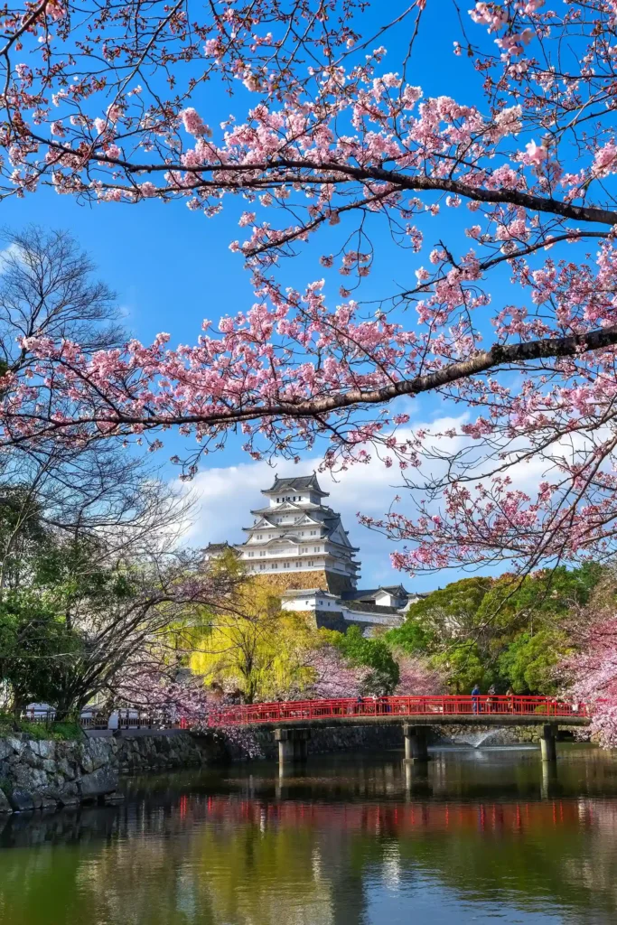 castelo de himeji coberto de flores de cerejeira durante a primavera. é possível ainda ver uma ponte do estilo japonês e um rio.