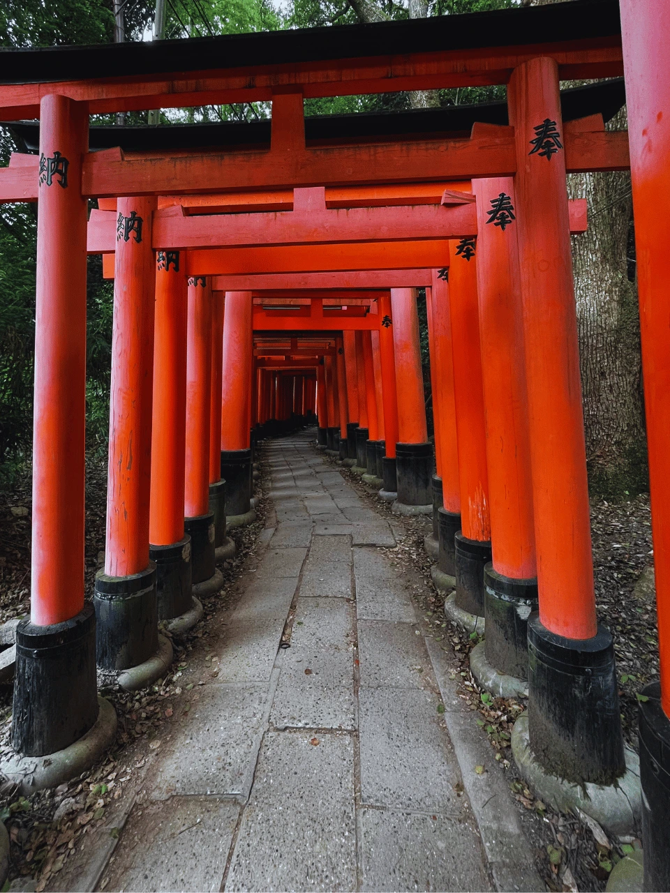 fushimiinari