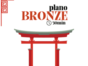 Consultoria de Viagem - Plano Bronze