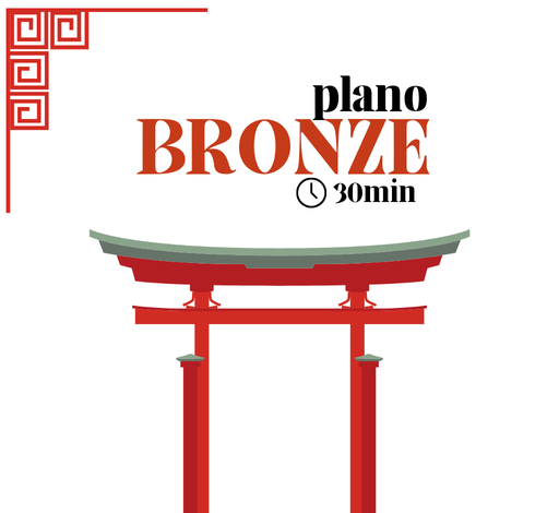 Consultoria de Viagem - Plano Bronze