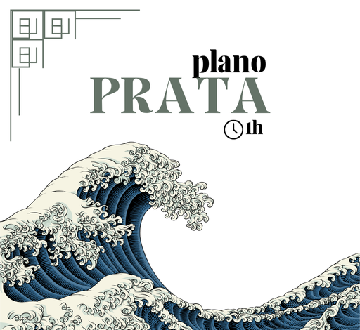 Consultoria de viagem - Plano Prata